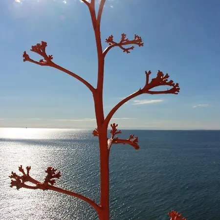 Tu Barco * Almeria