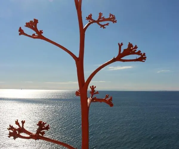 Tu Barco * Almeria